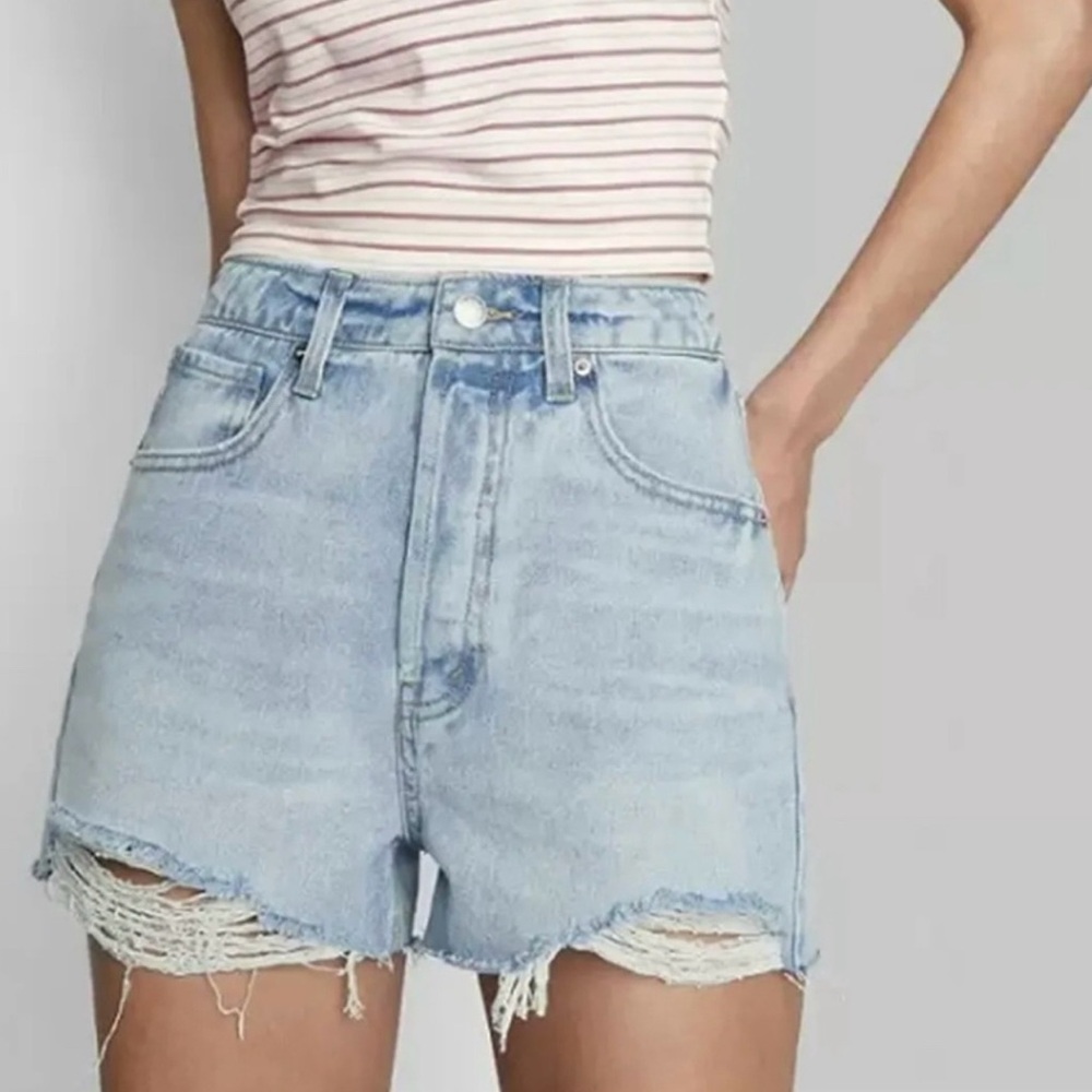 Wild Fable Distressed Denim Shorts